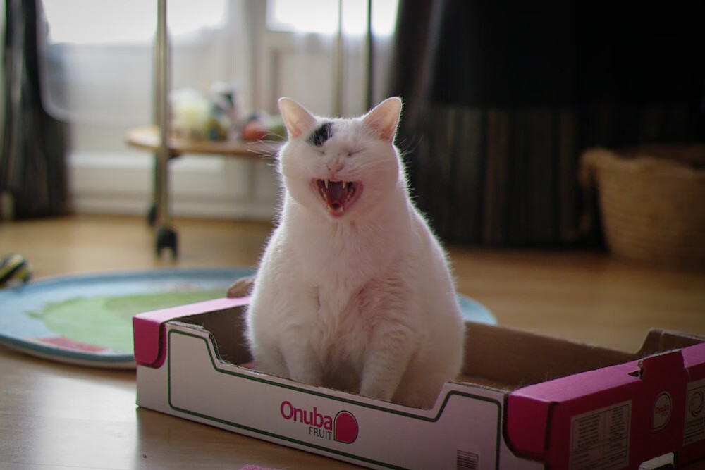 NBA球员慈善活动频频举办,展现社会责任,nba赞助收入